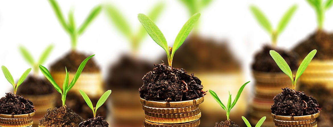 Assessoria à Gestão Financeira