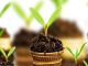 Supporting Financial Management
